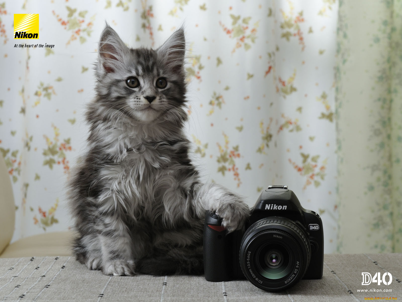 , nikon